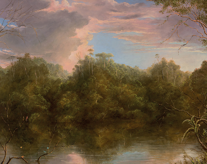 Selva
