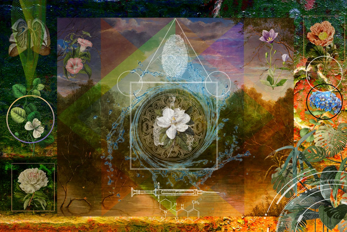 Obra digital